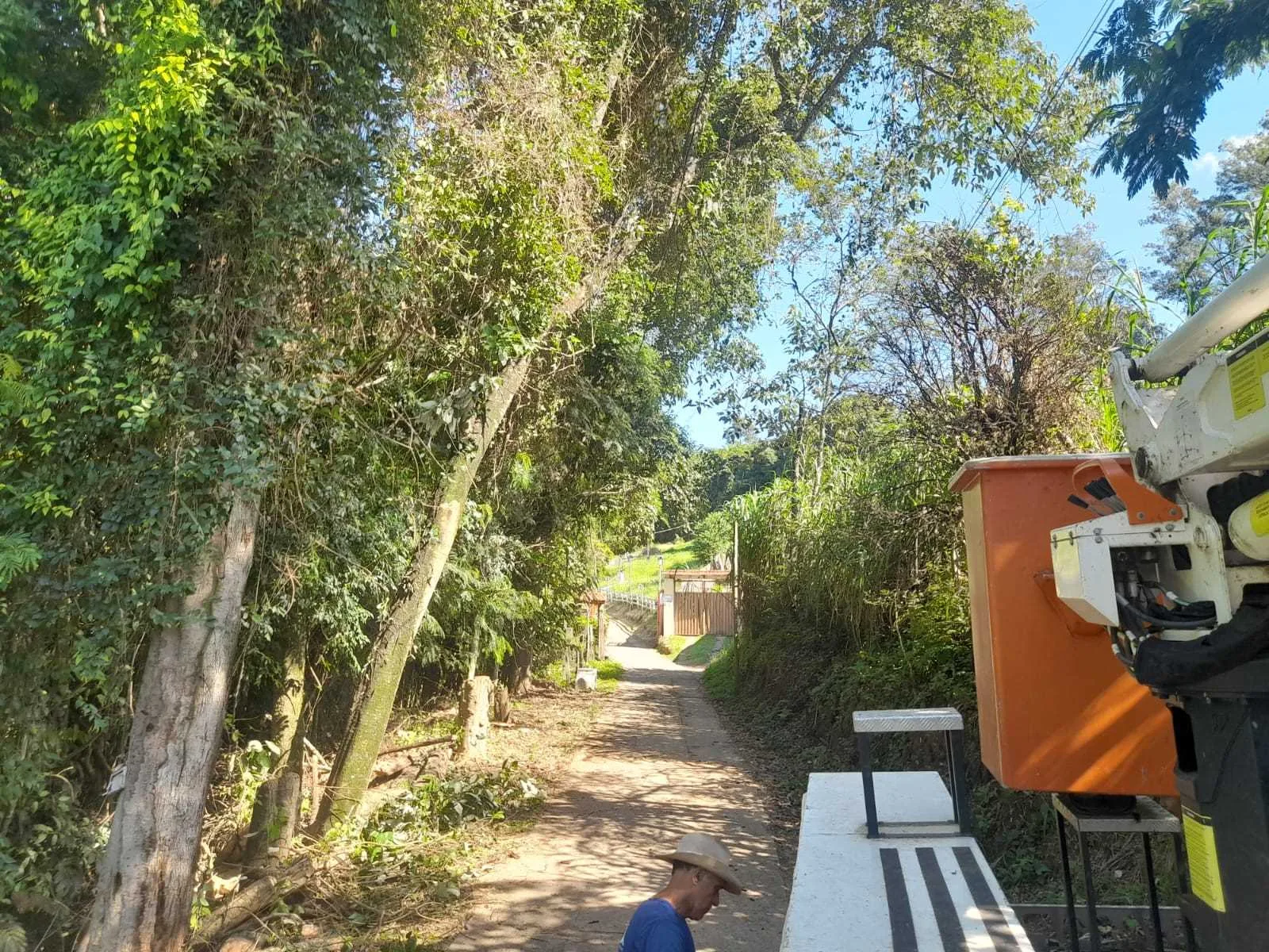 Prefeitura de Itajubá realiza poda preventiva de árvores em diversos bairros