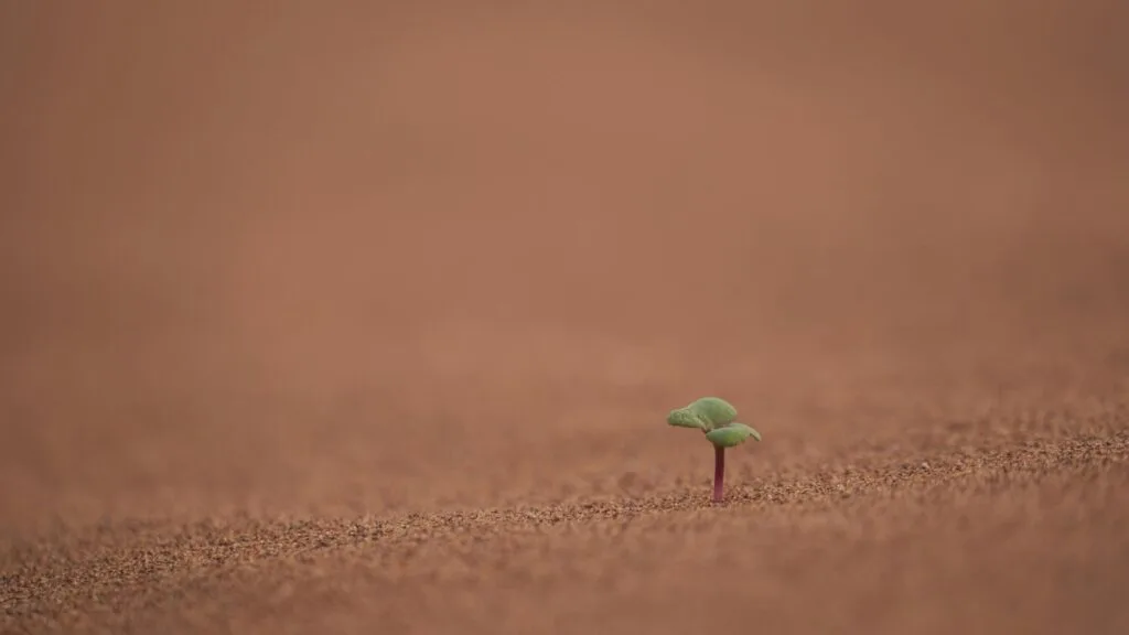 A MUDANÇA DE PERSPECTIVA SOBRE A VIDA
