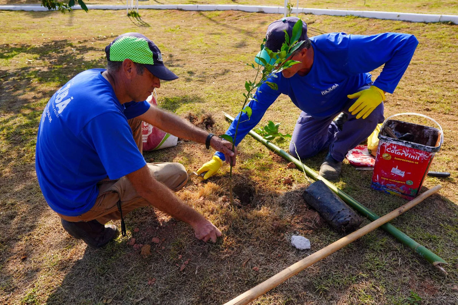 Plantio de árvores reforçam cuidado ambiental no Rebourgeon