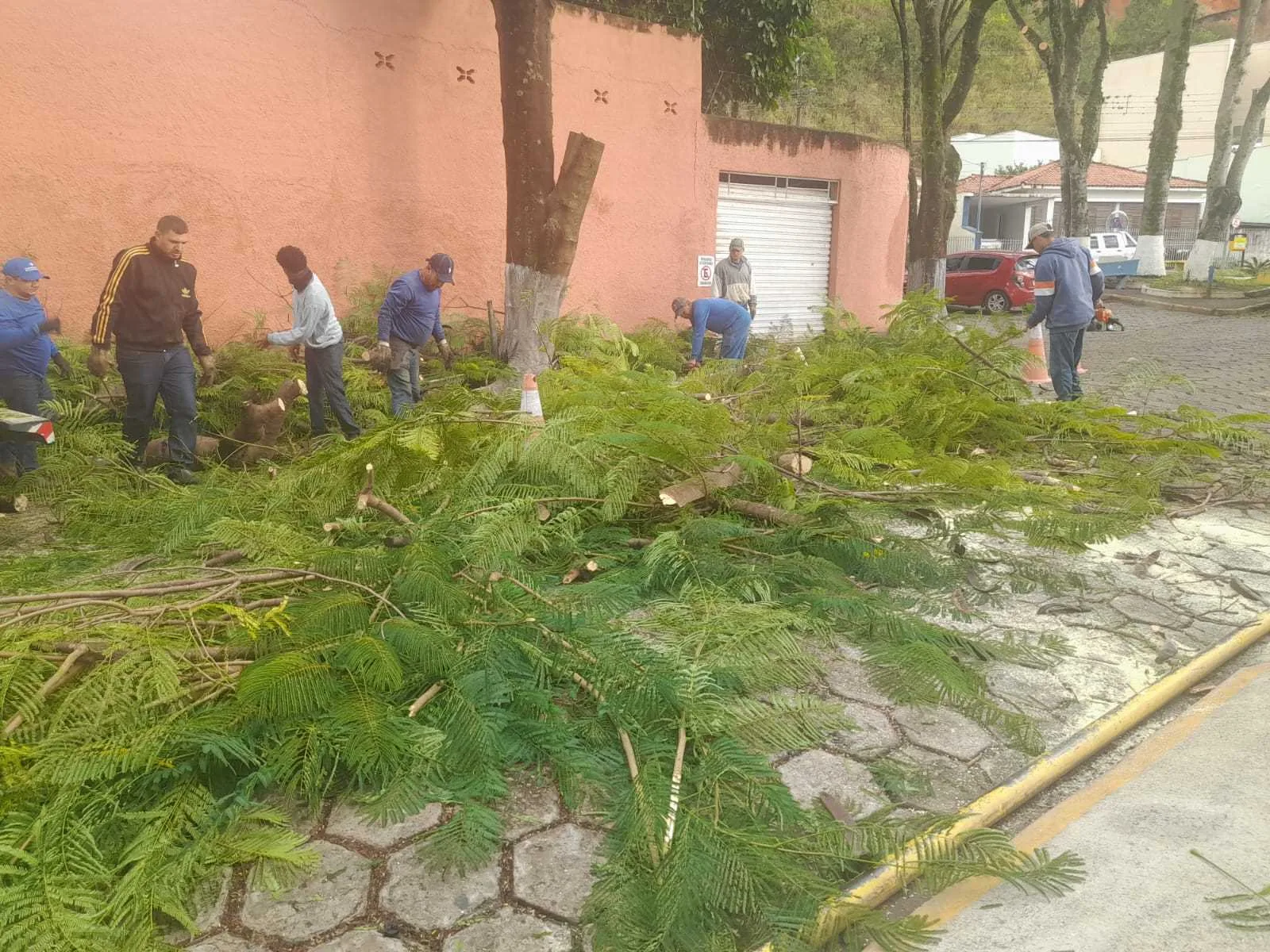 Morro Chic recebe mutirão de limpeza com serviços de poda e manutenção