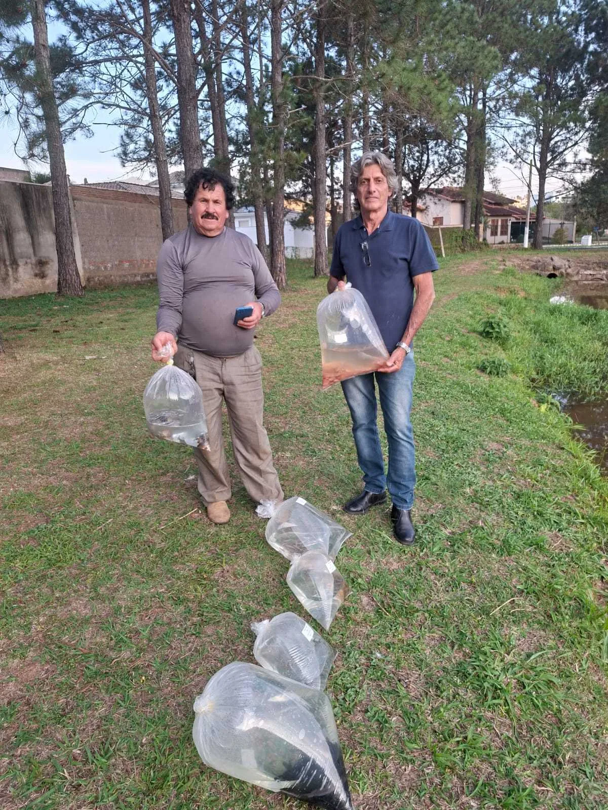 Prefeitura promove soltura de peixes no Lago do Pinheirinho