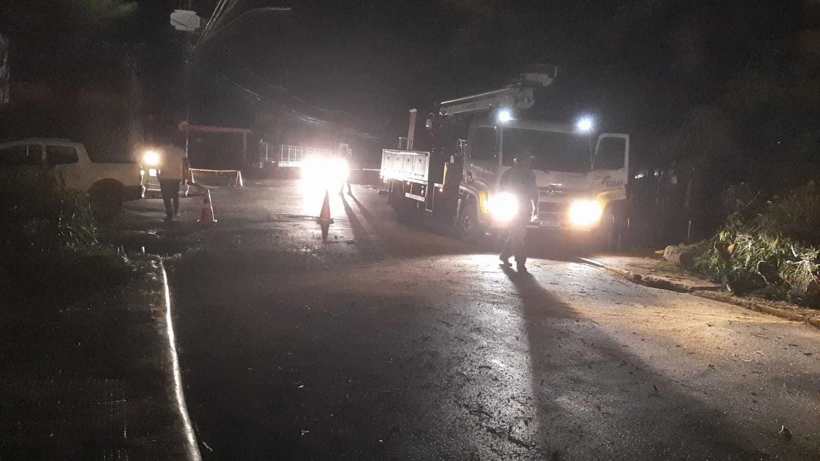 Força-tarefa restabelece energia após queda de árvore no bairro BPS