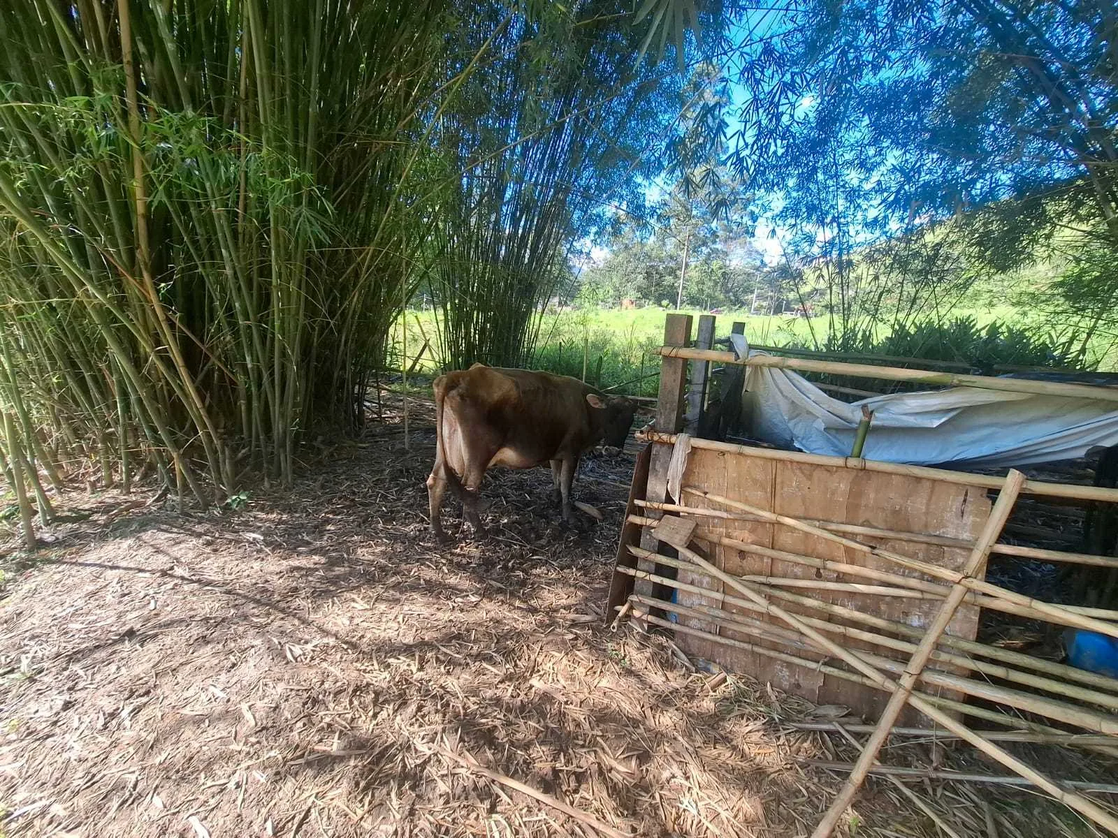 Secretaria de Agronegócio realiza visita técnica no bairro Capetinga