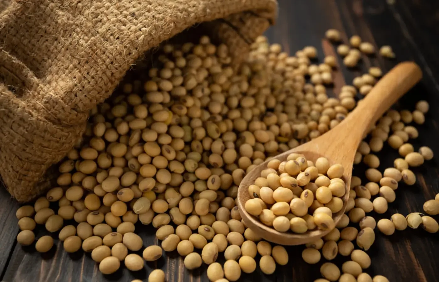 Soja e trigo hoje: confira as cotações para esta quarta-feira (1º)