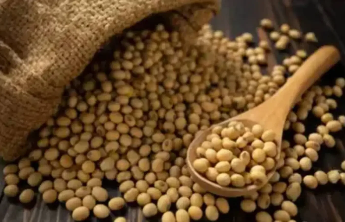 SOJA E TRIGO: confira os preços dos grãos nesta quinta-feira (30)
