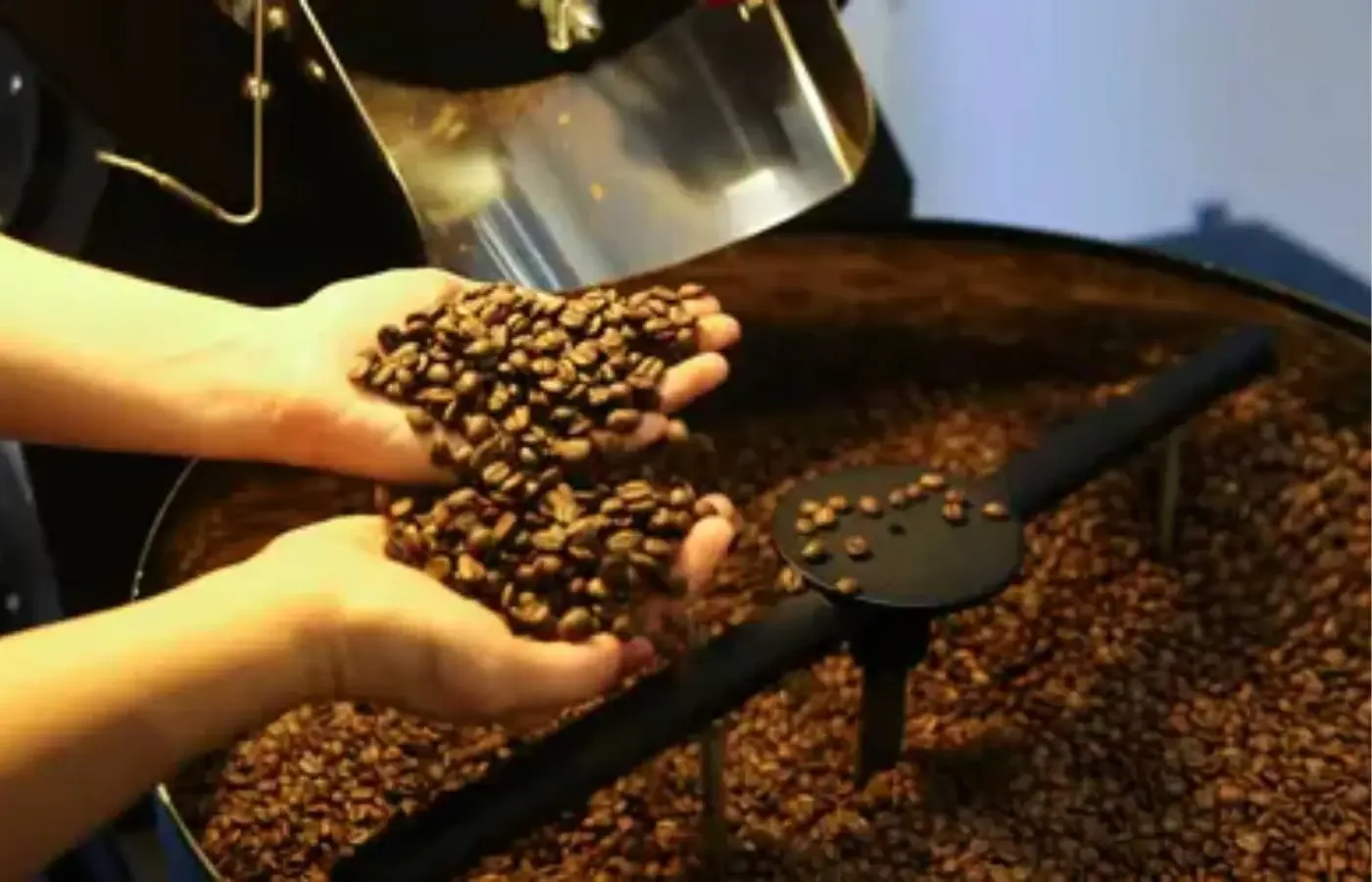 Café hoje: confira cotações para esta terça-feira (12)