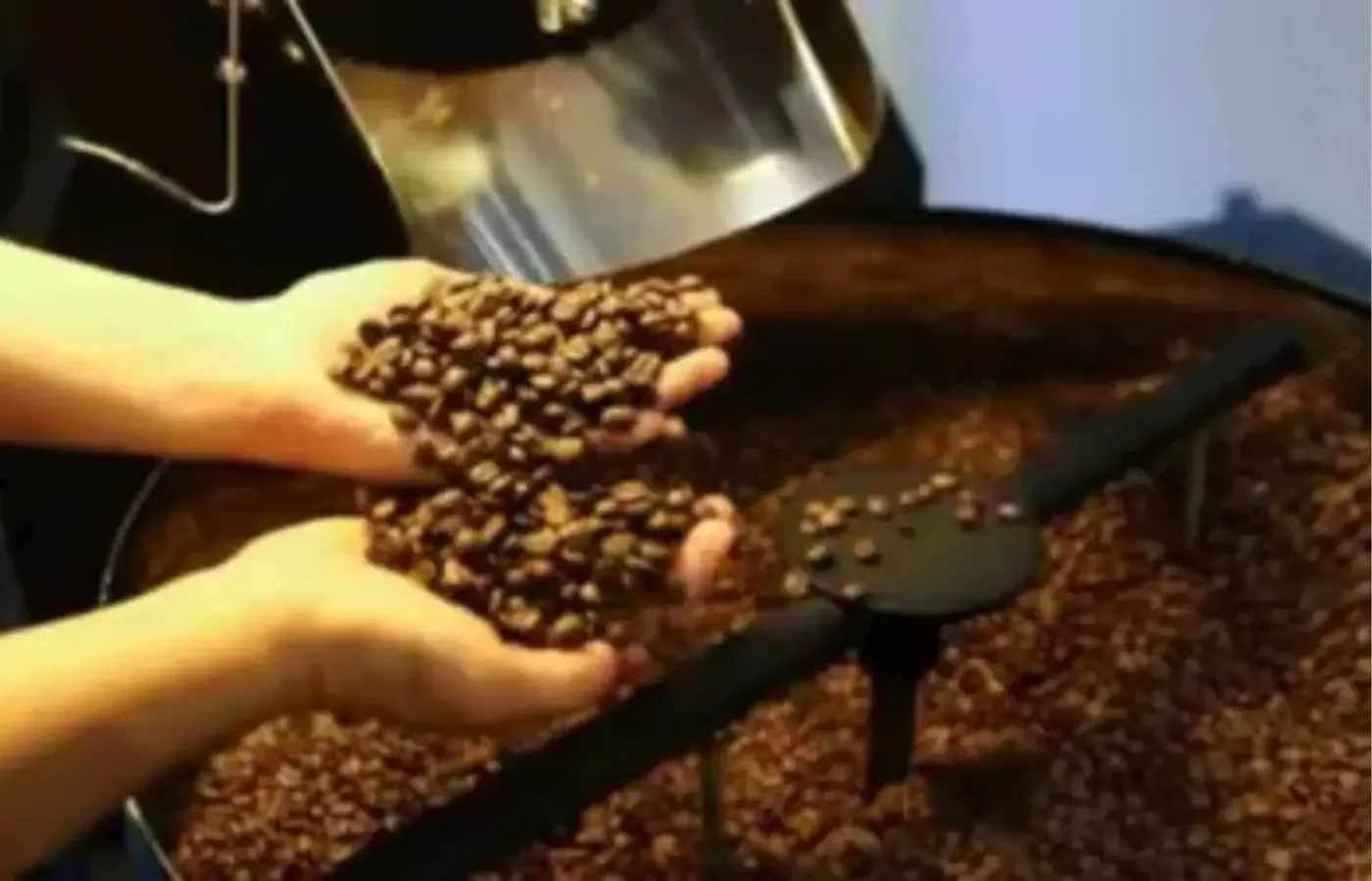 Café hoje: confira cotações para esta quinta-feira (14)