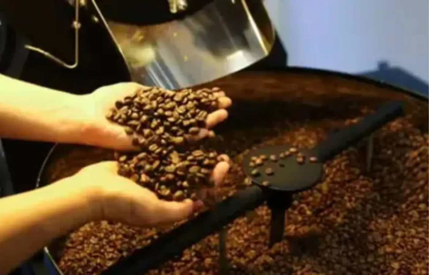 Café hoje: confira cotações para esta terça-feira (9)