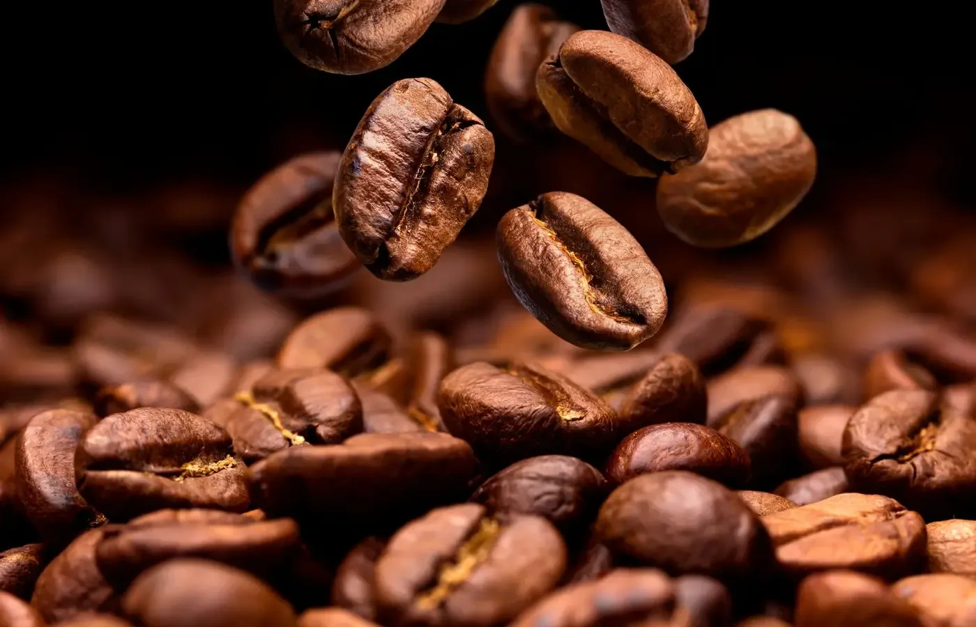 Café hoje: confira cotações para esta segunda (13)