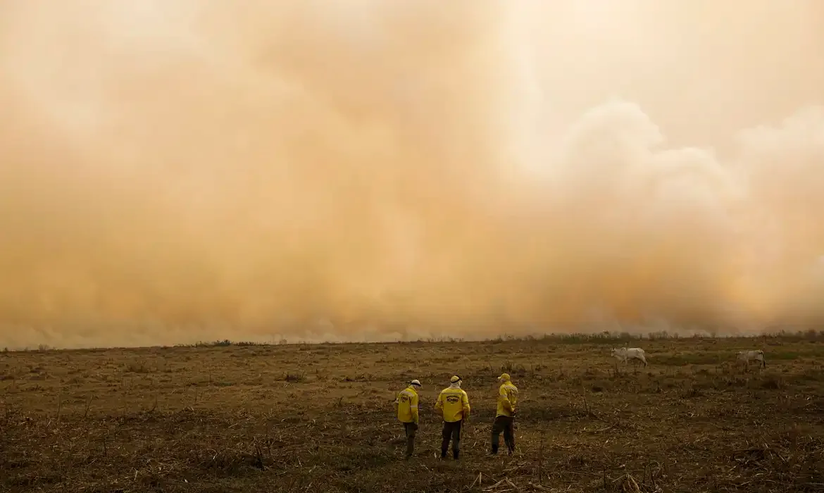 El Niño: Embrapa recomenda medidas para conservar a água e reduzir os efeitos do estresse hídrico e térmico, no Sudeste